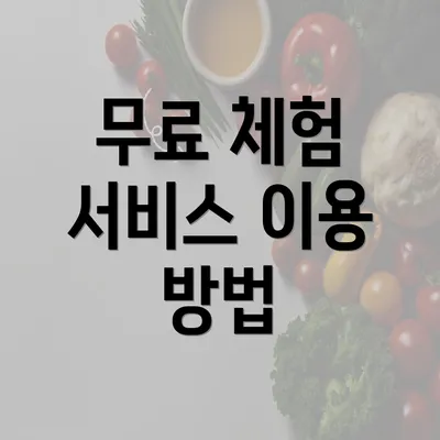 무료 체험 서비스 이용 방법