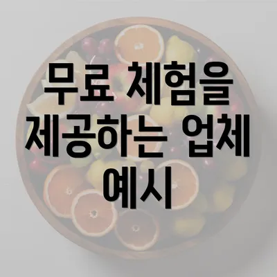 무료 체험을 제공하는 업체 예시