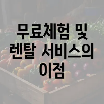 무료체험 및 렌탈 서비스의 이점