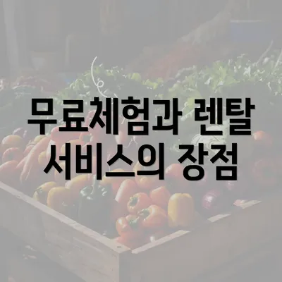 무료체험과 렌탈 서비스의 장점