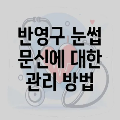 반영구 눈썹 문신에 대한 관리 방법