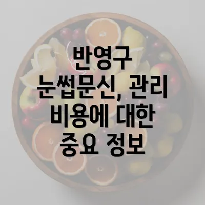 반영구 눈썹문신, 관리 비용에 대한 중요 정보