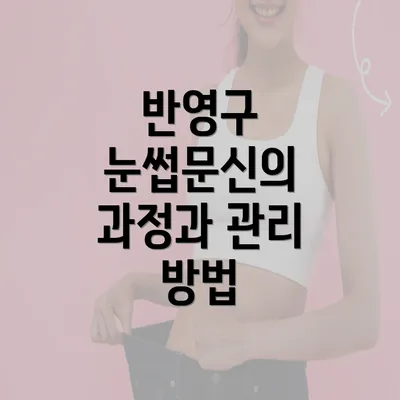 반영구 눈썹문신의 과정과 관리 방법