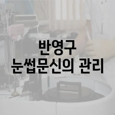 반영구 눈썹문신의 관리