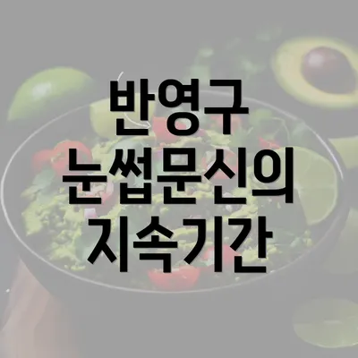 반영구 눈썹문신의 지속기간