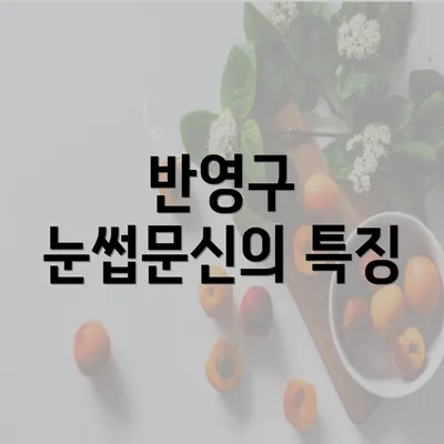 반영구 눈썹문신의 특징