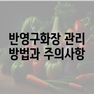 반영구화장 관리 방법과 주의사항