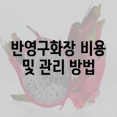 반영구화장 비용 및 관리 방법