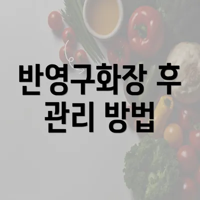 반영구화장 후 관리 방법