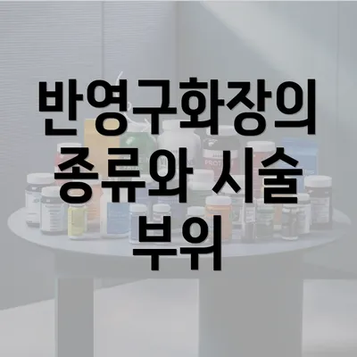 반영구화장의 종류와 시술 부위