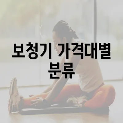 보청기 가격대별 분류