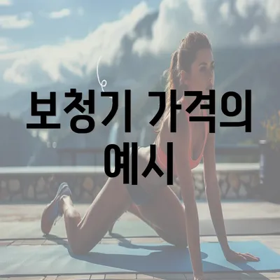 보청기 가격의 예시