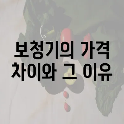 보청기의 가격 차이와 그 이유