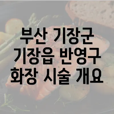 부산 기장군 기장읍 반영구 화장 시술 개요