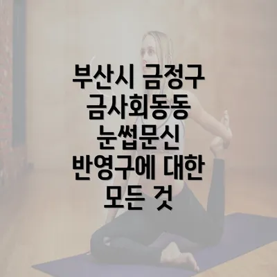 부산시 금정구 금사회동동 눈썹문신 반영구에 대한 모든 것