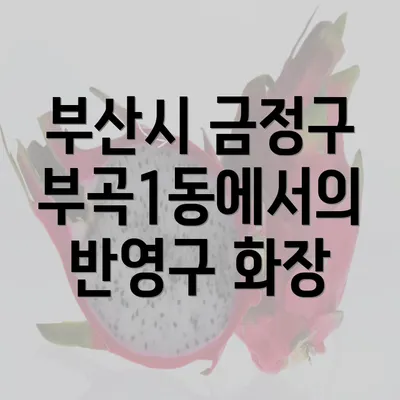 부산시 금정구 부곡1동에서의 반영구 화장