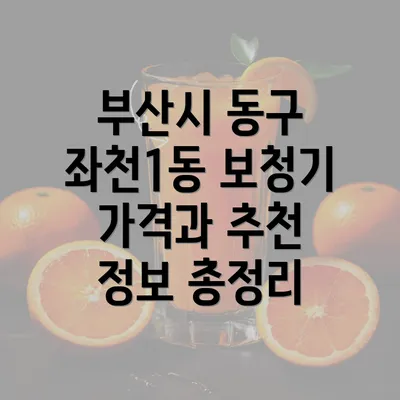 부산시 동구 좌천1동 보청기 가격과 추천 정보 총정리