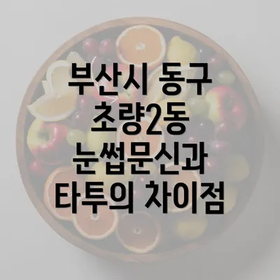 부산시 동구 초량2동 눈썹문신과 타투의 차이점