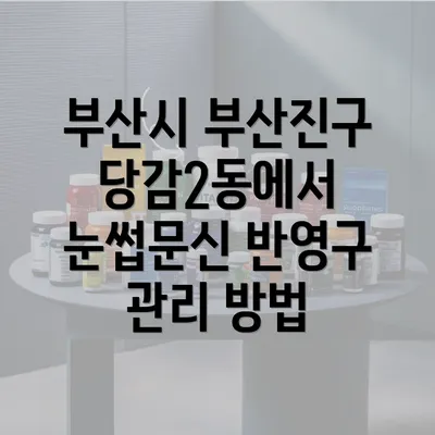 부산시 부산진구 당감2동에서 눈썹문신 반영구 관리 방법