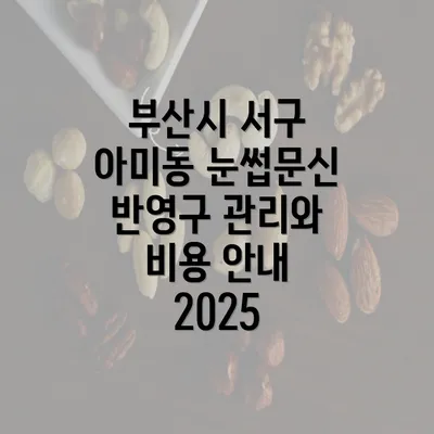 부산시 서구 아미동 눈썹문신 반영구 관리와 비용 안내 2025