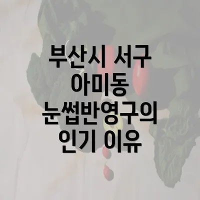 부산시 서구 아미동 눈썹반영구의 인기 이유