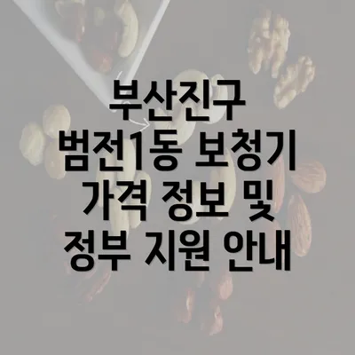 부산진구 범전1동 보청기 가격 정보 및 정부 지원 안내