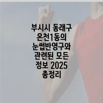 부시시 동래구 온천1동의 눈썹반영구와 관련된 모든 정보 2025 총정리