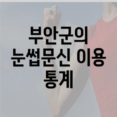 부안군의 눈썹문신 이용 통계