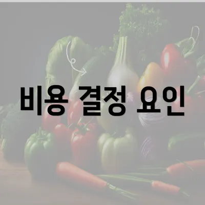 비용 결정 요인