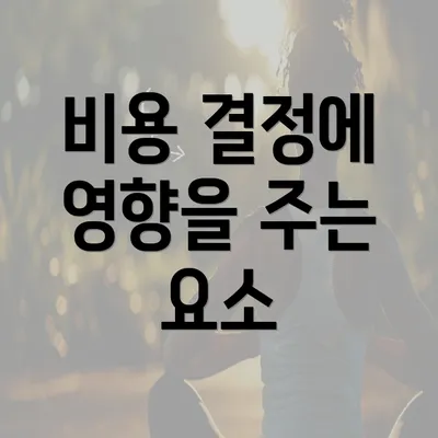 비용 결정에 영향을 주는 요소