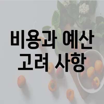 비용과 예산 고려 사항