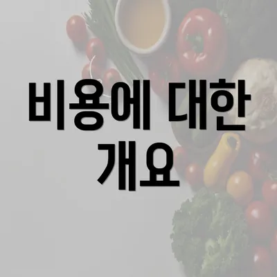 비용에 대한 개요