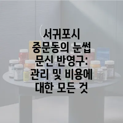 서귀포시 중문동의 눈썹 문신 반영구: 관리 및 비용에 대한 모든 것