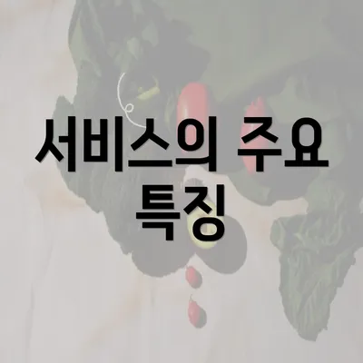 서비스의 주요 특징