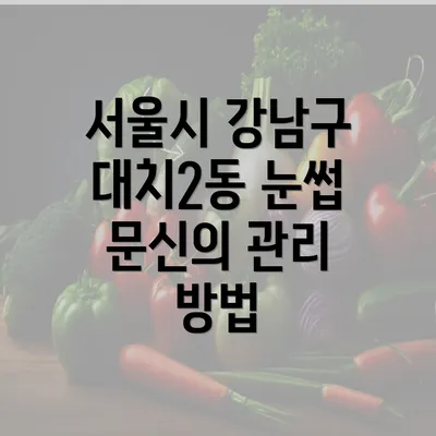 서울시 강남구 대치2동 눈썹 문신의 관리 방법