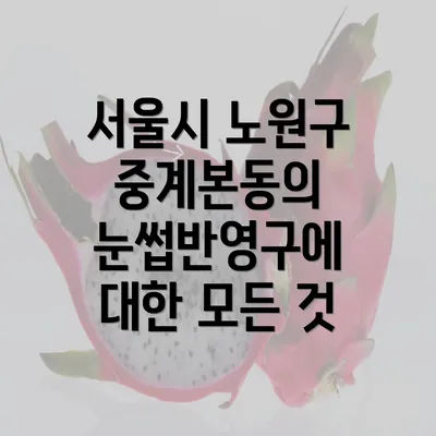 서울시 노원구 중계본동의 눈썹반영구에 대한 모든 것