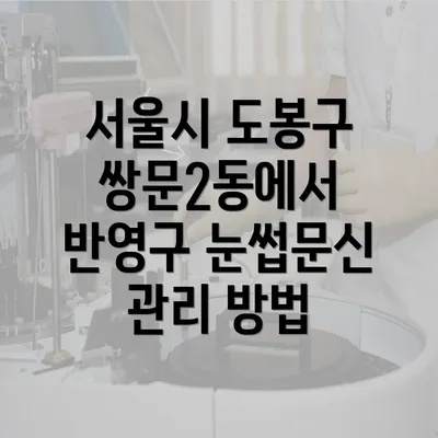 서울시 도봉구 쌍문2동에서 반영구 눈썹문신 관리 방법