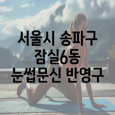 서울시 송파구 잠실6동 눈썹문신 반영구