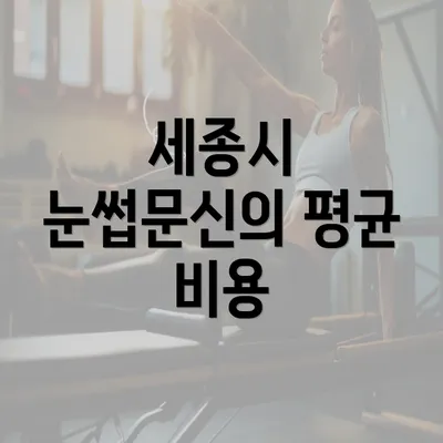 세종시 눈썹문신의 평균 비용