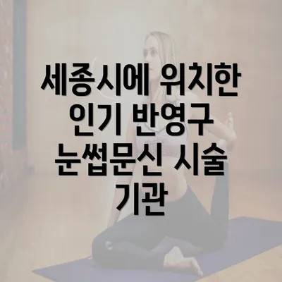 세종시에 위치한 인기 반영구 눈썹문신 시술 기관