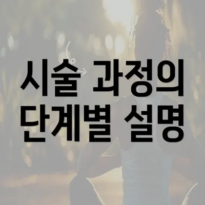 시술 과정의 단계별 설명