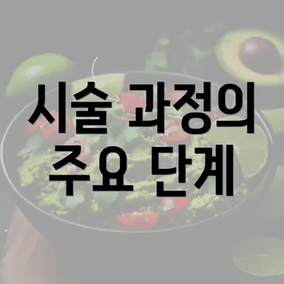 시술 과정의 주요 단계