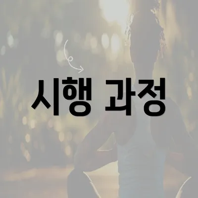 시행 과정