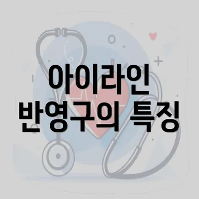 아이라인 반영구의 특징