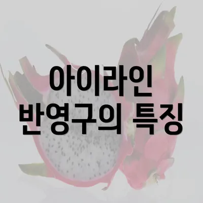 아이라인 반영구의 특징