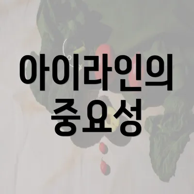 아이라인의 중요성