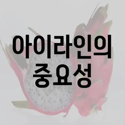 아이라인의 중요성