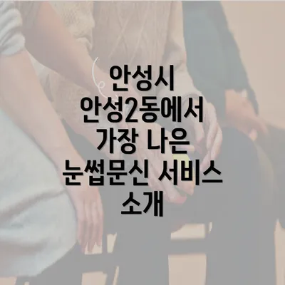 안성시 안성2동에서 가장 나은 눈썹문신 서비스 소개