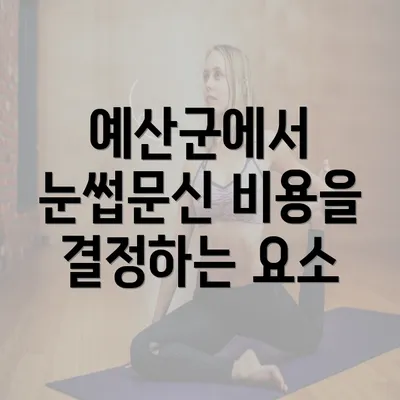 예산군에서 눈썹문신 비용을 결정하는 요소