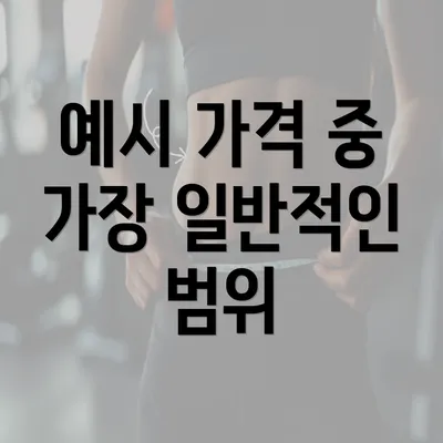 예시 가격 중 가장 일반적인 범위